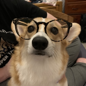 Fundraising Page: Rachel Miles